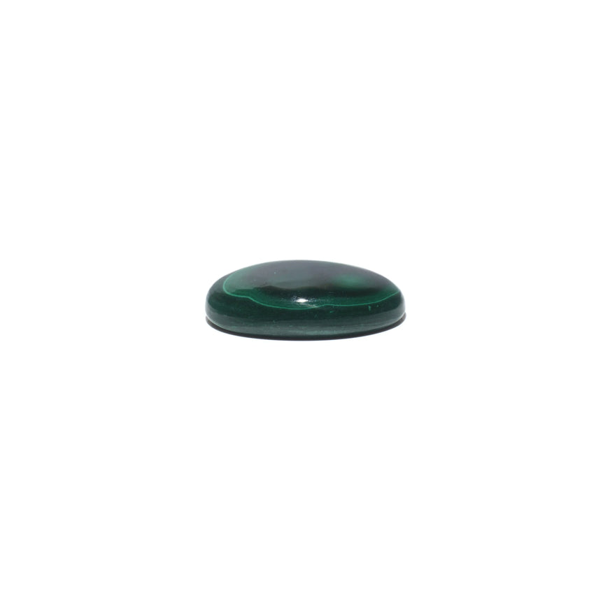Malachite (Kidney Stone) - 43.1 Carat