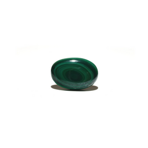 Malachite (Kidney Stone) - 44.25 Carat - Pramogh