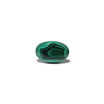 Malachite (Kidney Stone) - 41.6 Carat - Pramogh