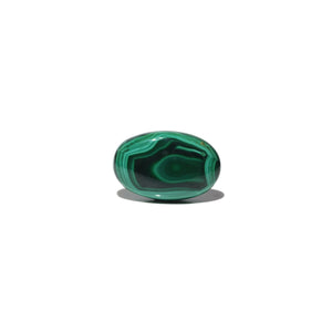 Malachite (Kidney Stone) - 41.6 Carat - Pramogh