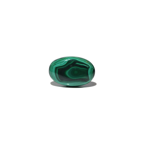 Malachite (Kidney Stone) - 41.6 Carat - Pramogh