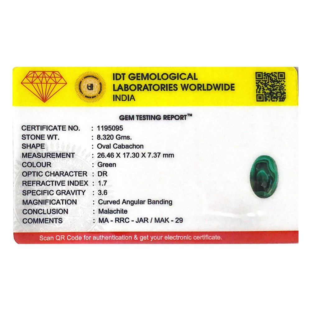 Malachite (Kidney Stone) - 41.6 Carat