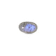 Labradorite - 18.3 Carat - Pramogh