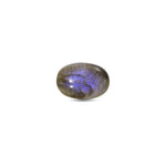 Labradorite - 15.2 Carat - Pramogh