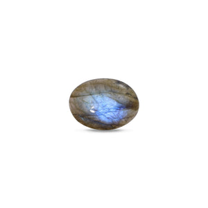 Labradorite - 16.65 Carat - Pramogh