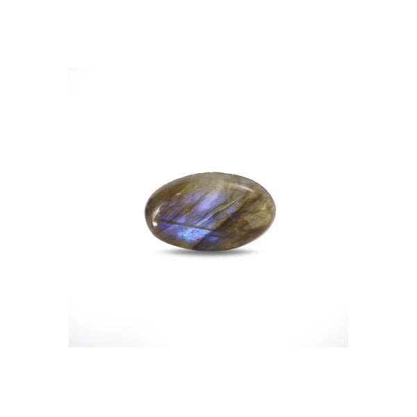 Labradorite - 14.1 Carat - Pramogh