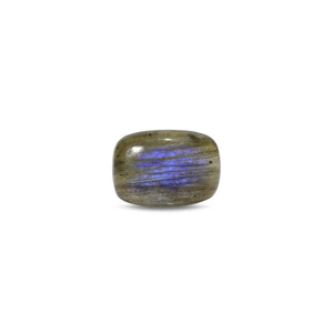 Labradorite - 16.8 Carat - Pramogh