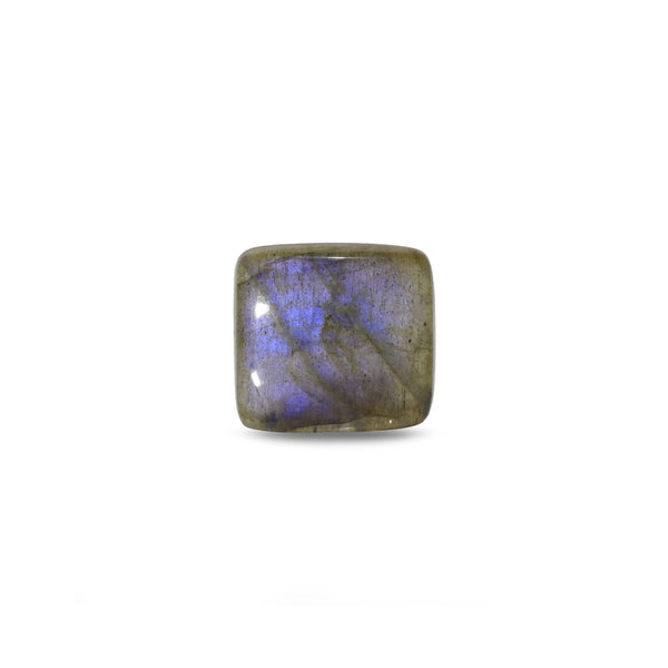 Labradorite - 19.95 Carat - Pramogh