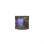 Labradorite - 12.9 Carat - Pramogh