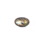 Labradorite - 14.8 Carat - Pramogh