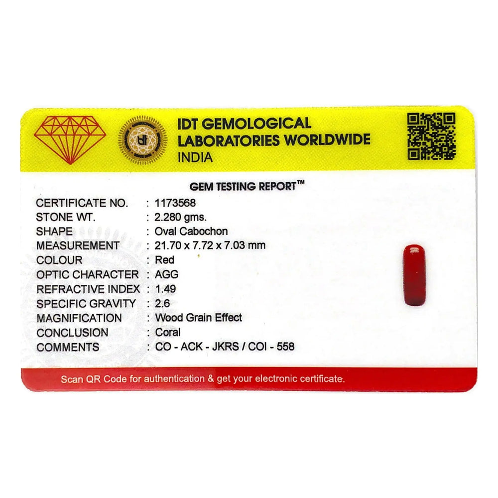 Red Coral - 11.4 Carat - Pramogh