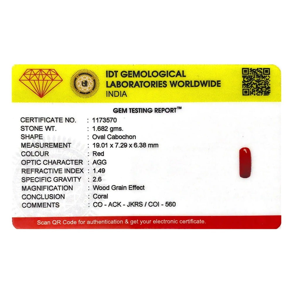 Red Coral - 8.41 Carat - Pramogh