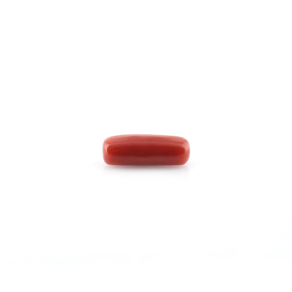 Red Coral - 8.38 Carat