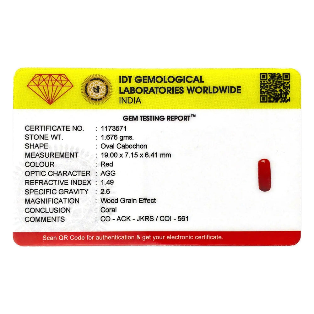 Red Coral - 8.38 Carat - Pramogh