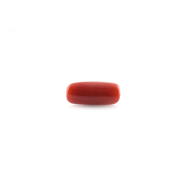 Red Coral - 8.8 Carat