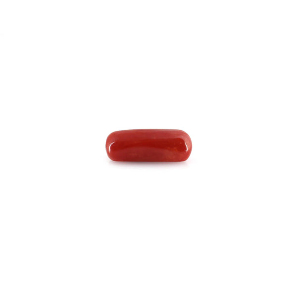 Red Coral - 8.55 Carat