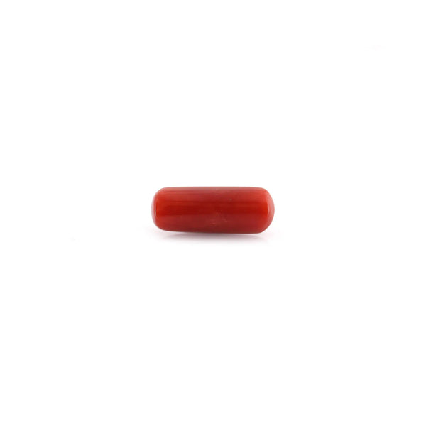 Red Coral - 8.55 Carat