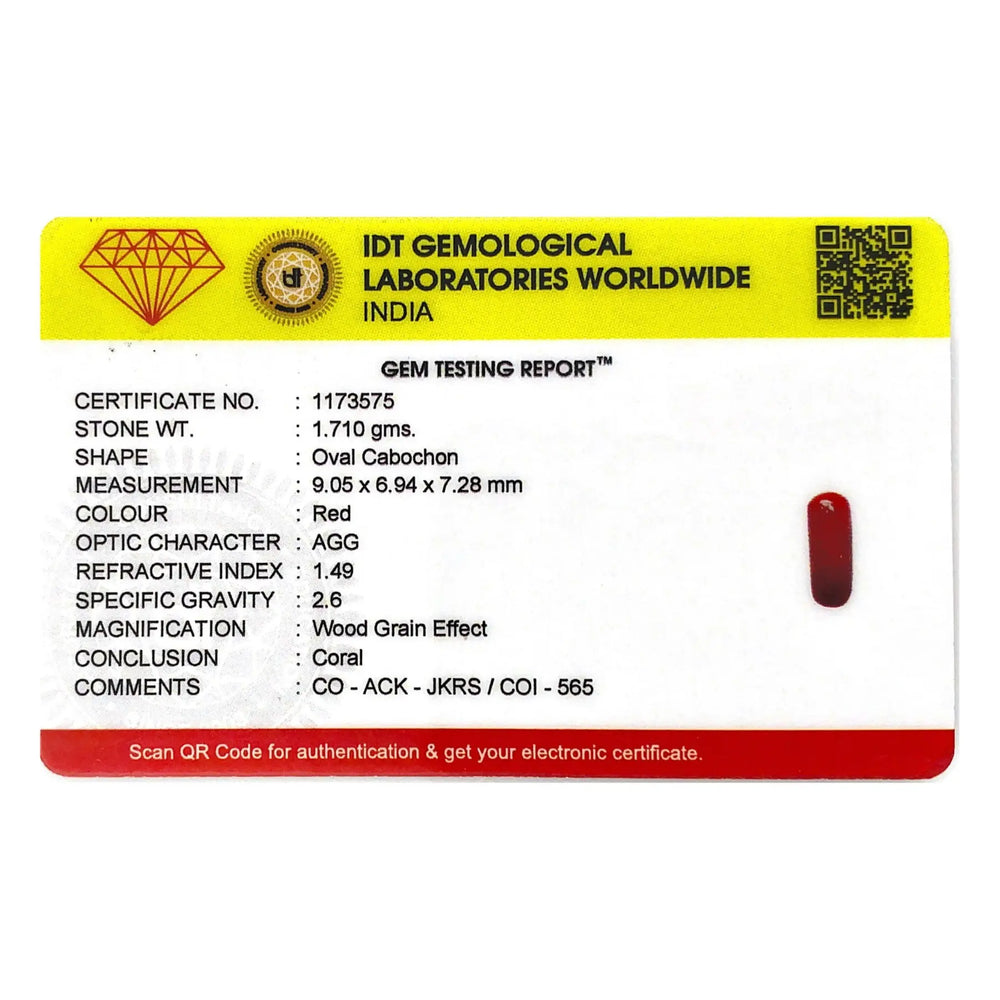 Red Coral - 8.55 Carat - Pramogh