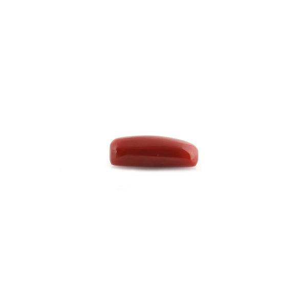 Red Coral - 8.89 Carat