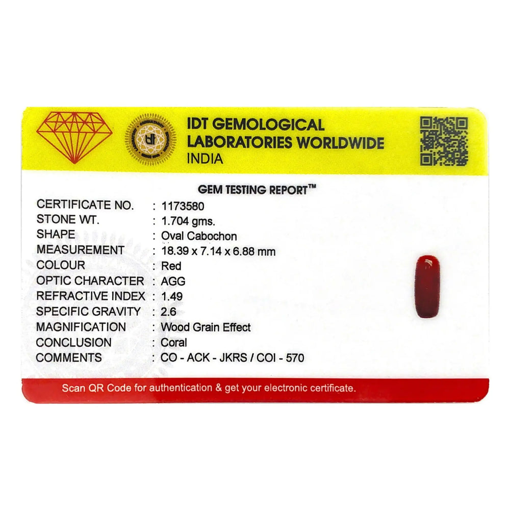 Red Coral - 8.52 Carat - Pramogh