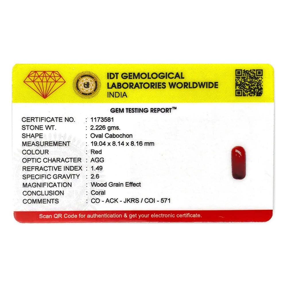 Red Coral - 11.13 Carat - Pramogh