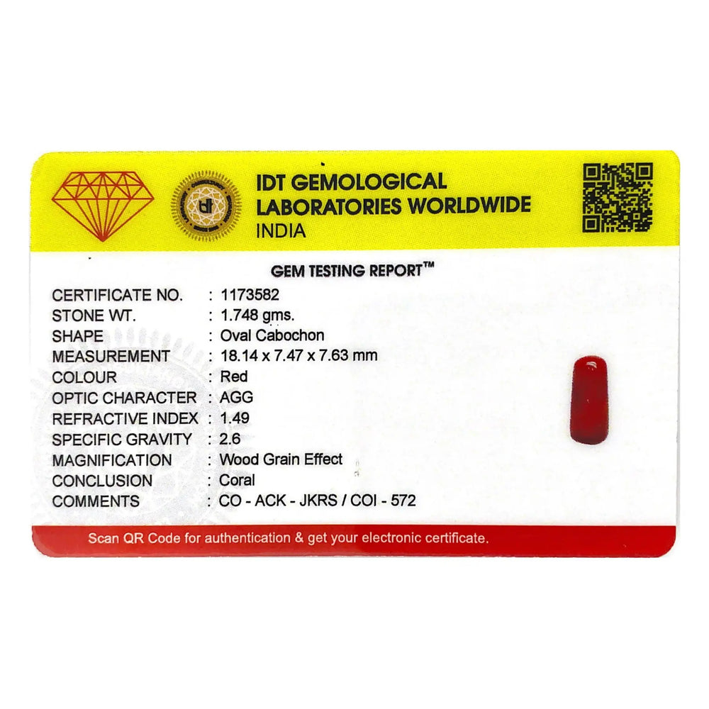 Red Coral - 8.74 Carat - Pramogh