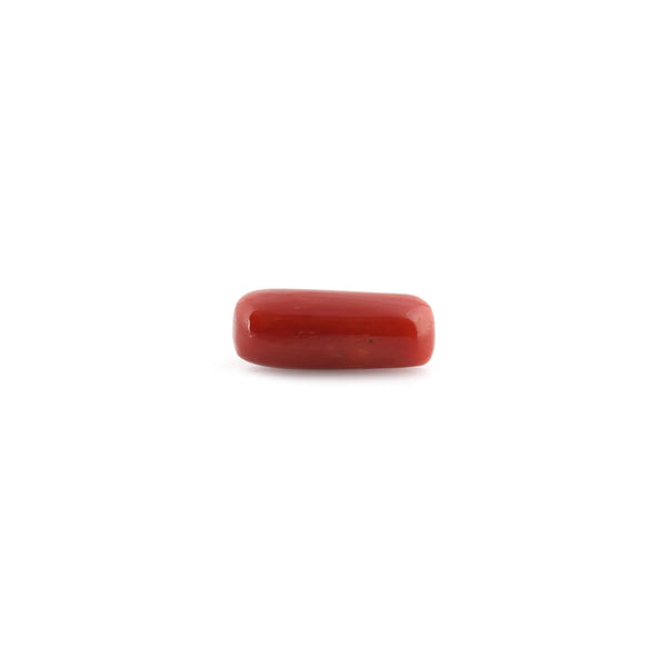 Red Coral - 9.41 Carat