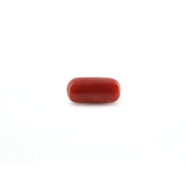 Red Coral - 13.14 Carat