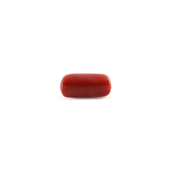 Red Coral - 13.14 Carat