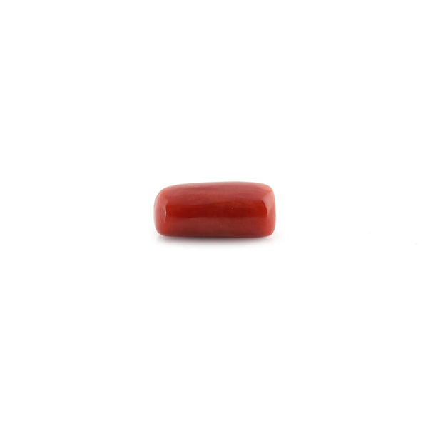 Red Coral - 13.14 Carat