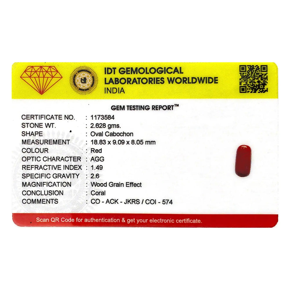 Red Coral - 13.14 Carat - Pramogh