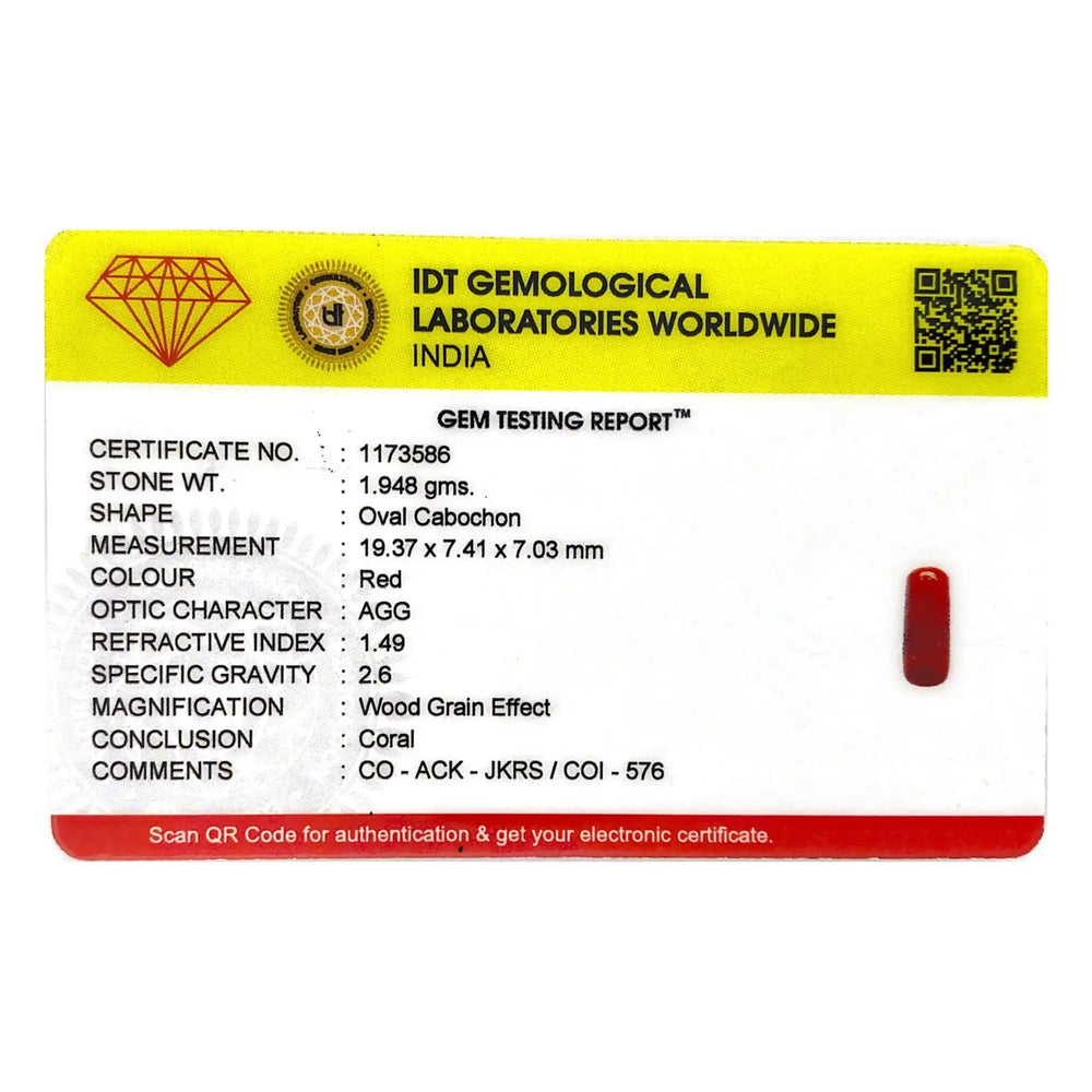 Red Coral - 9.74 Carat - Pramogh