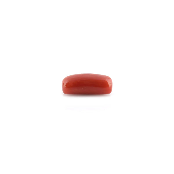 Red Coral - 8.61 Carat