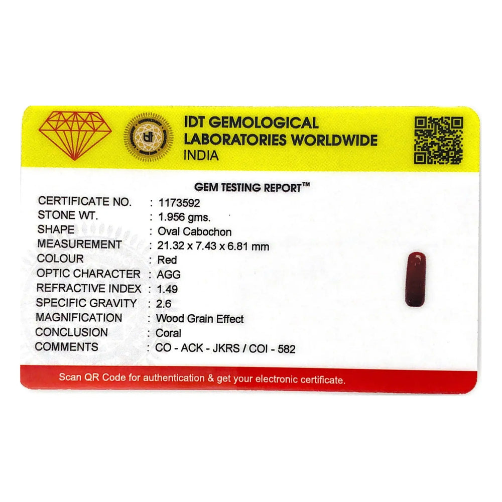 Red Coral - 9.78 Carat - Pramogh