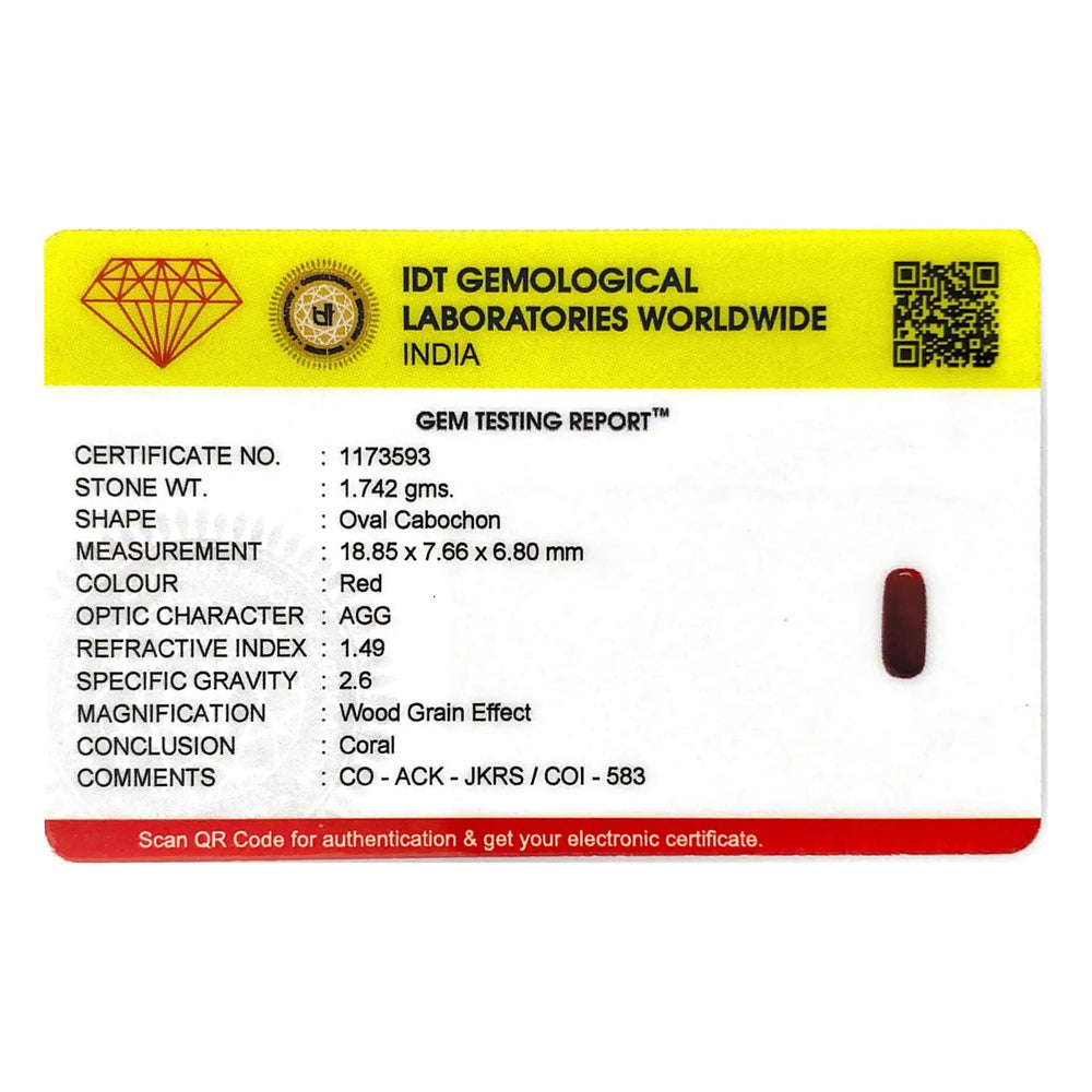 Red Coral - 8.71 Carat - Pramogh