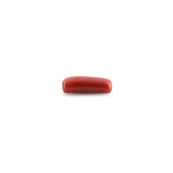 Red Coral - 8.52 Carat