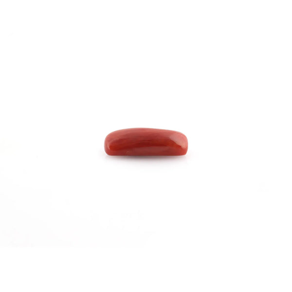 Red Coral - 8.51 Carat