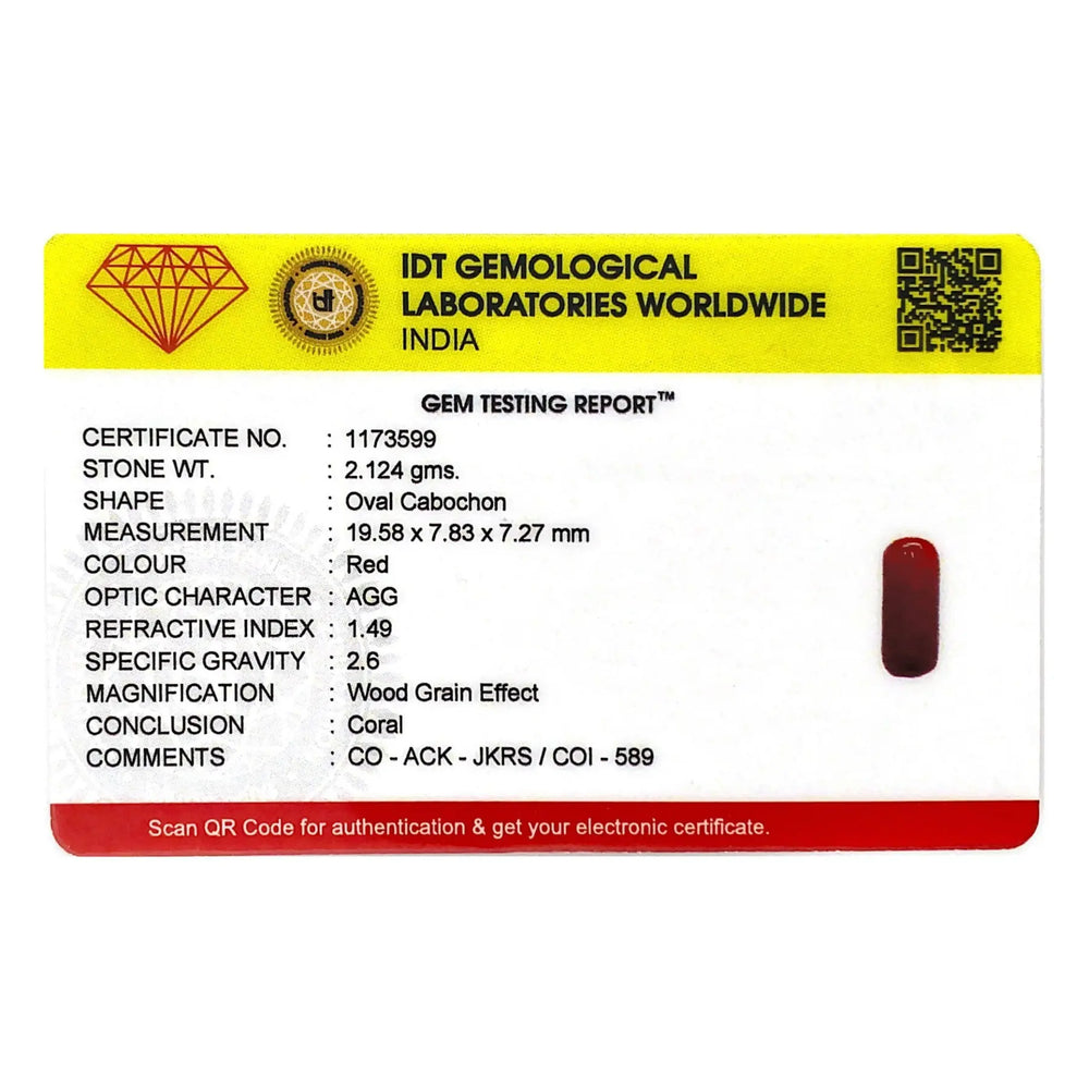 Red Coral - 10.62 Carat - Pramogh
