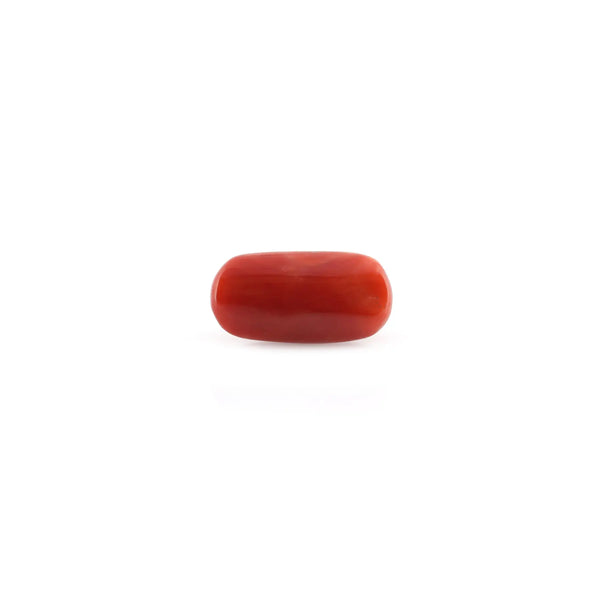 Red Coral - 9.18 Carat