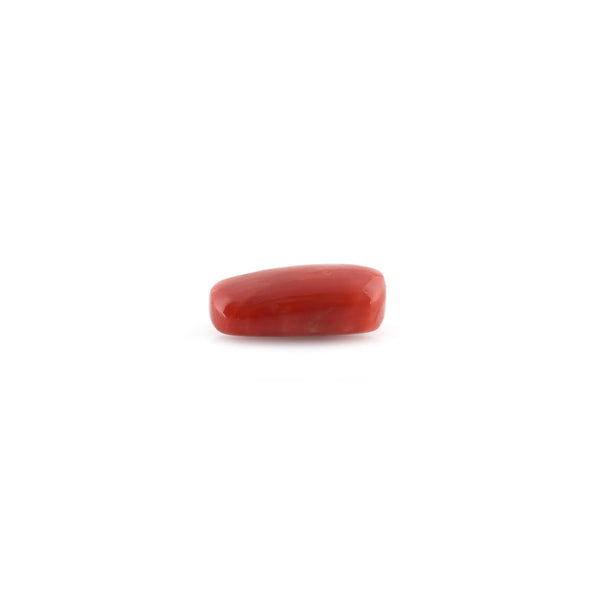 Red Coral - 9.18 Carat