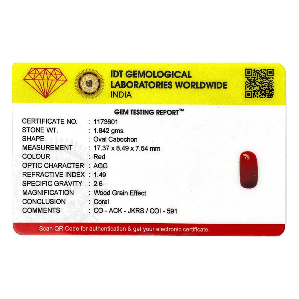 Red Coral - 9.21 Carat - Pramogh