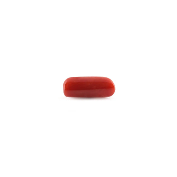 Red Coral - 8.82 Carat