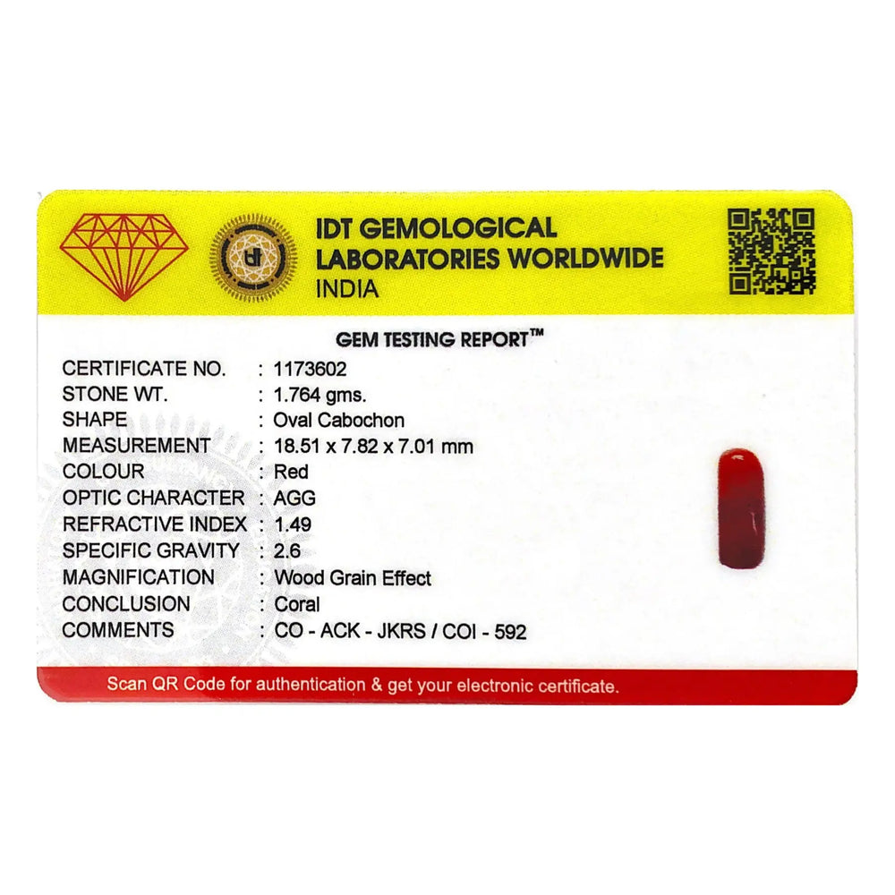 Red Coral - 8.82 Carat - Pramogh