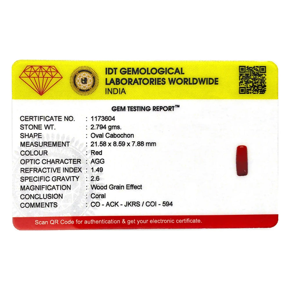 Red Coral - 13.97 Carat - Pramogh