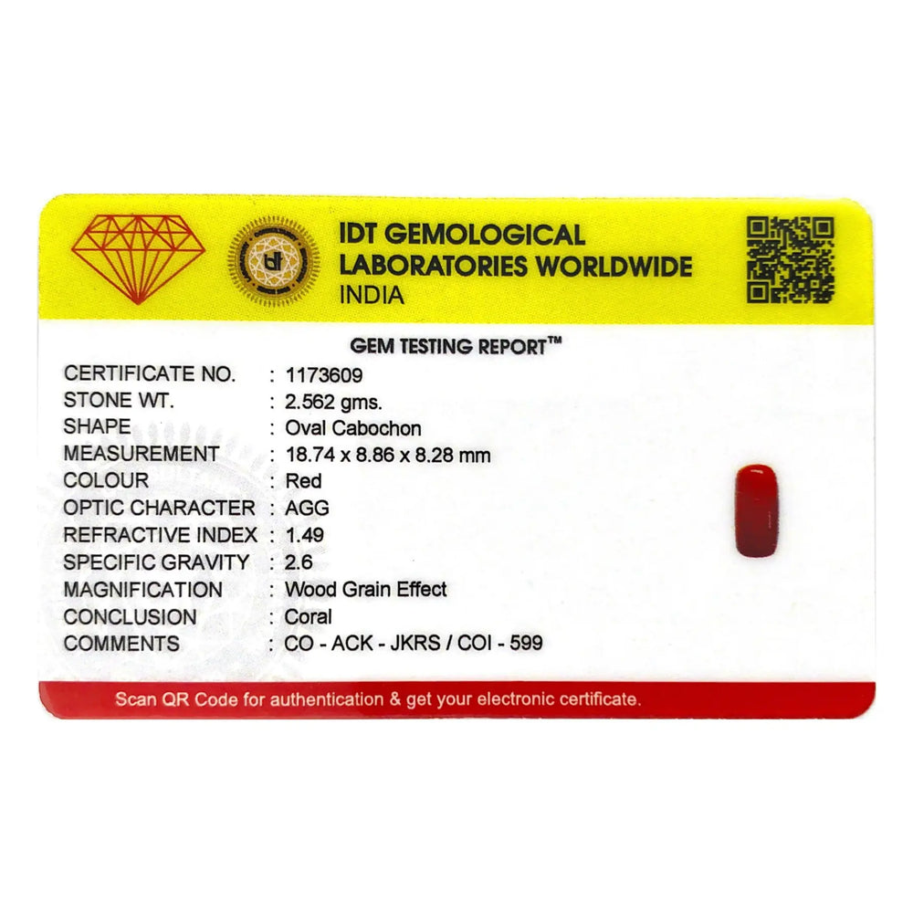Red Coral - 12.81 Carat - Pramogh