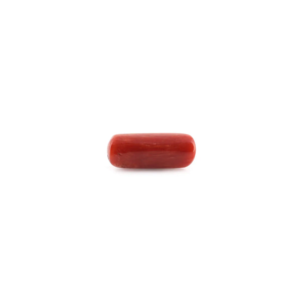 Red Coral - 9.18 Carat - Pramogh
