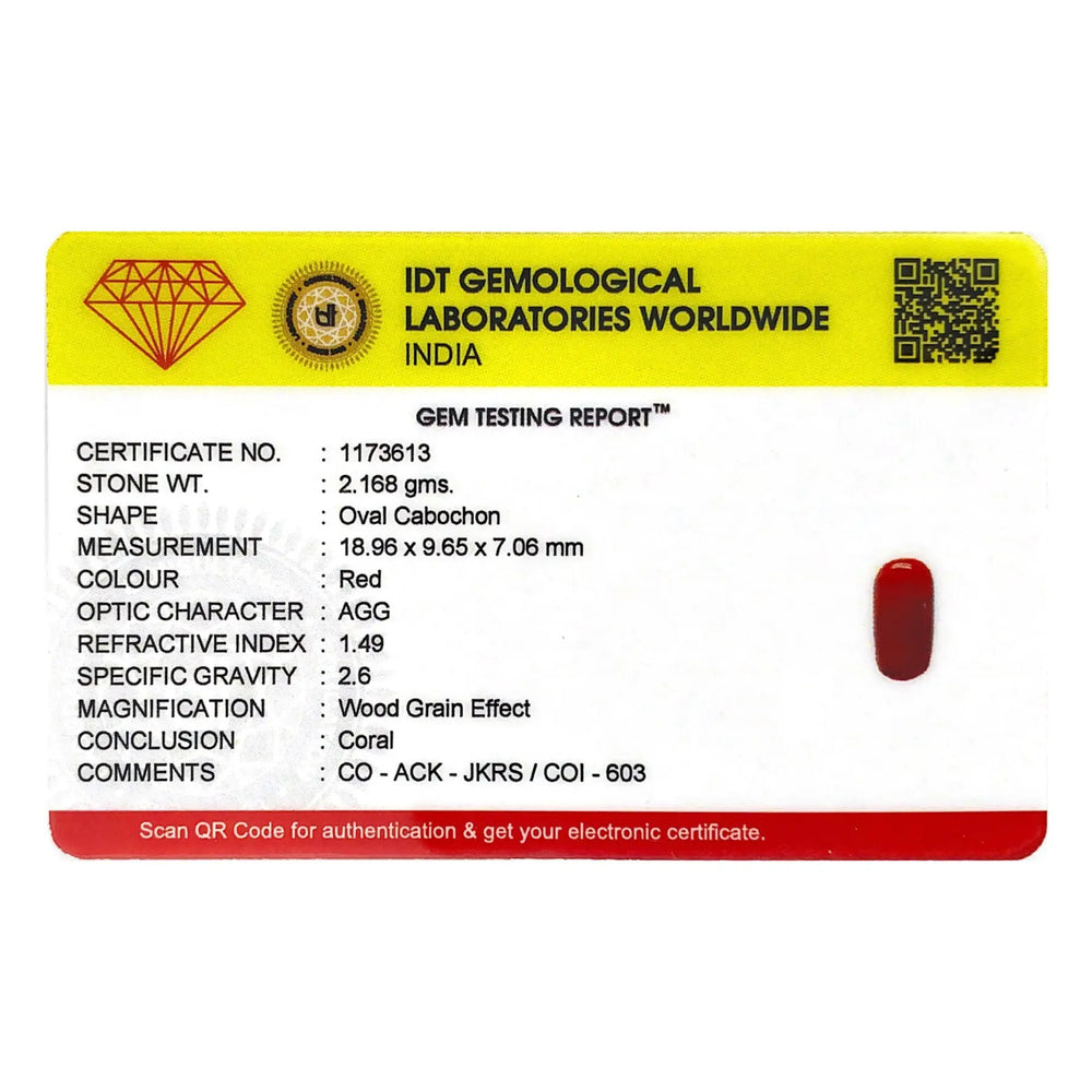 Red Coral - 10.84 Carat - Pramogh