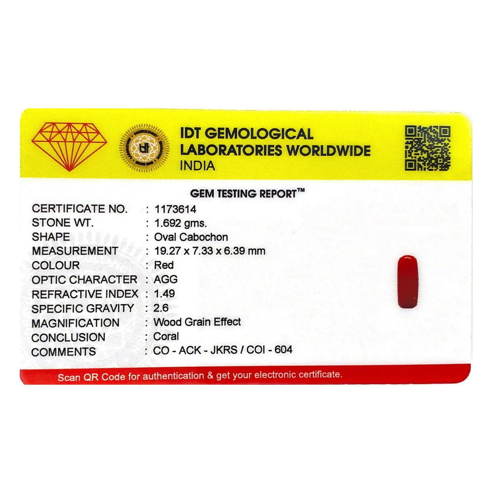 Red Coral - 8.46 Carat - Pramogh