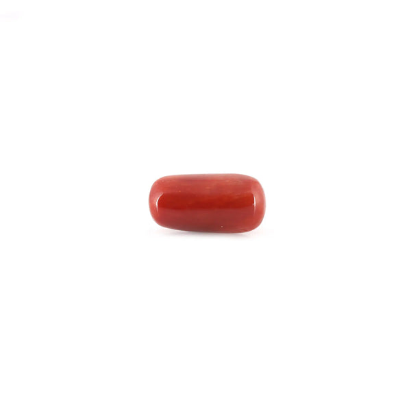 Red Coral - 8.1 Carat - Pramogh