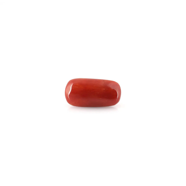 Red Coral - 8.1 Carat - Pramogh